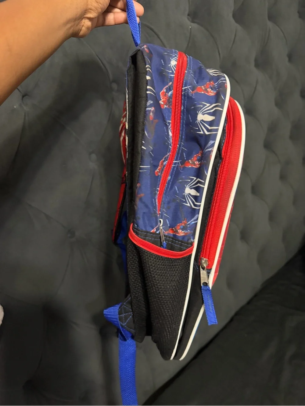 Spider-Man Graphic Kids Backpack - Red/Blue